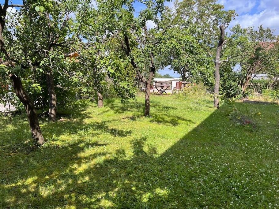 Wunderschoene Wohnung In Perfekter Lage Хильпольтштайн Экстерьер фото